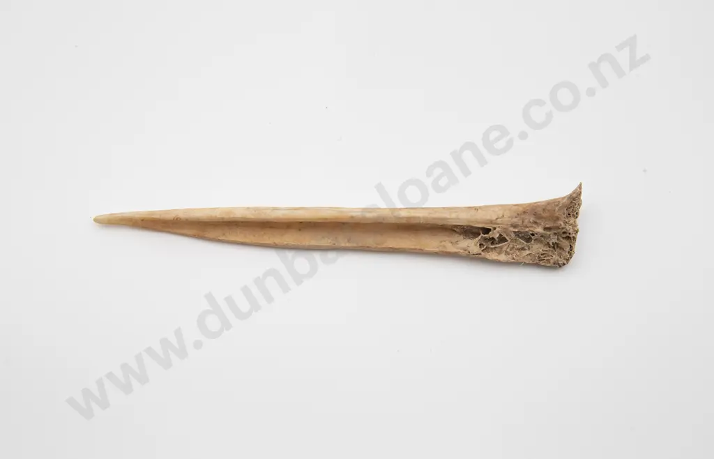 Bone Awl Image 1++