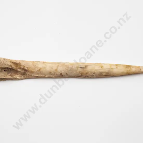 Bone Awl