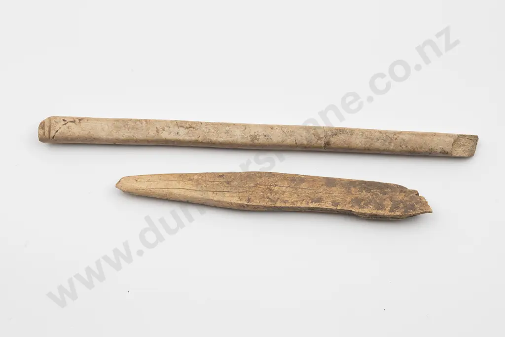 Bone Awl  and a worked piece of bone Image 1++