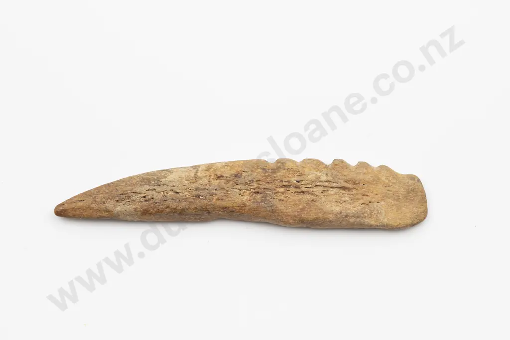 Bone fish hook section Image 1++