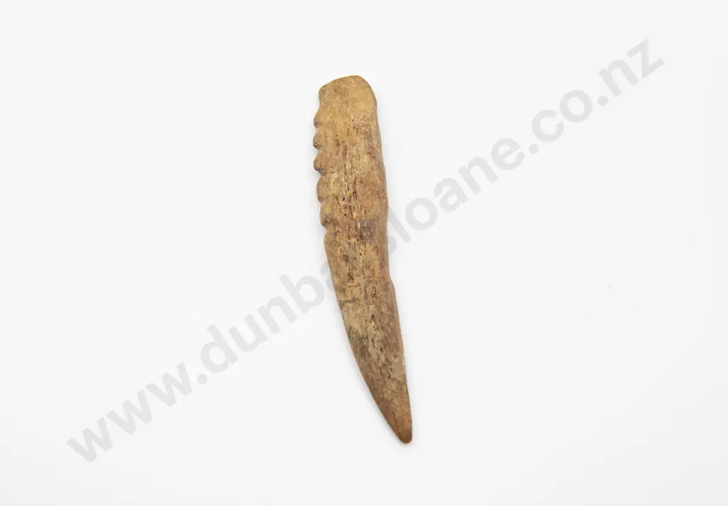 Bone fish hook section Image 1++