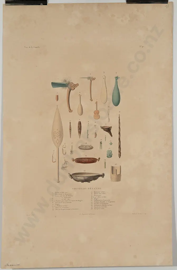 Louis Auguste De Sainson  hand coloured lithographs (2) Image 1++