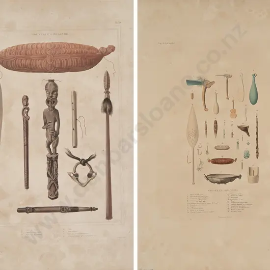Louis Auguste De Sainson  hand coloured lithographs (2)