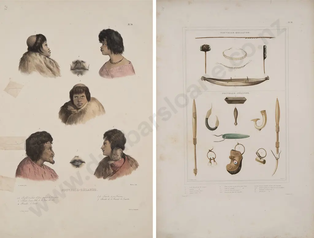 Two hand coloured De Sainson Lithographs Image 1++