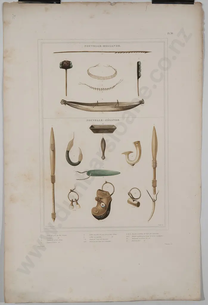 Two hand coloured De Sainson Lithographs Image 1++