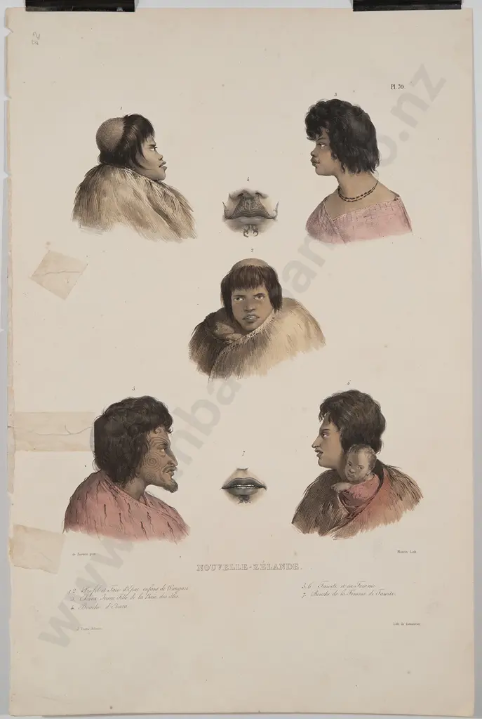 Two hand coloured De Sainson Lithographs Image 1++