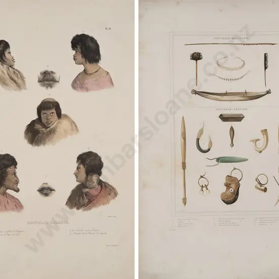 Two hand coloured De Sainson Lithographs