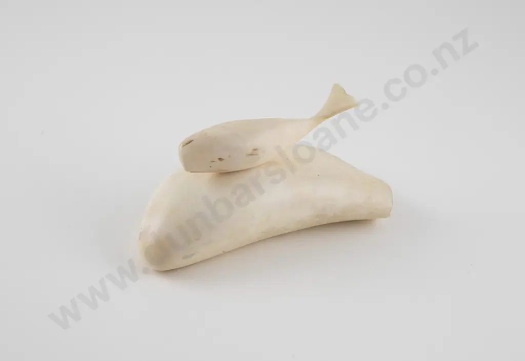 Whales Tooth Image 1++