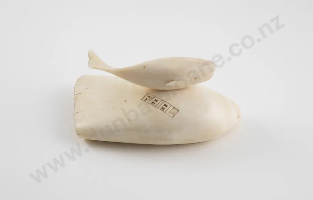 Whales Tooth Image 1++