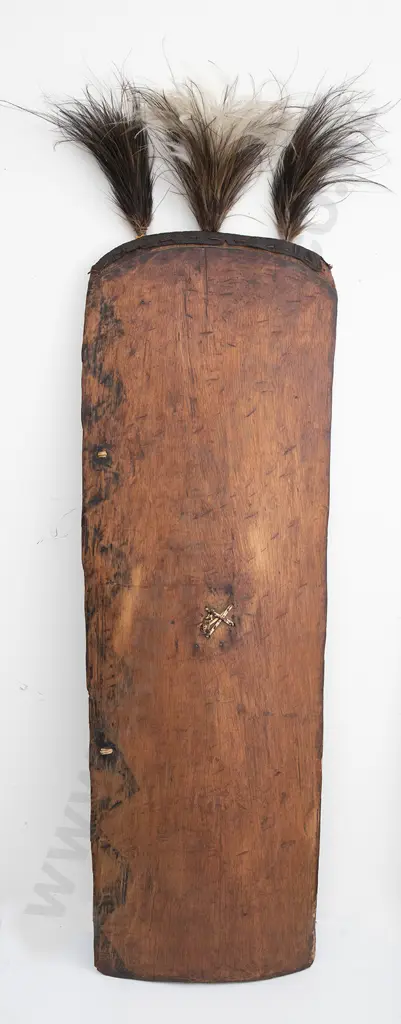 Papua New Guinea war shield Image 1++