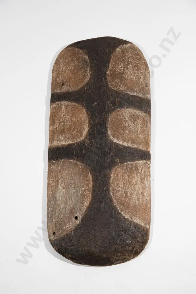 A Good Australian Aboriginal late 19th Century Gulmari Softwood Shield Image 1++