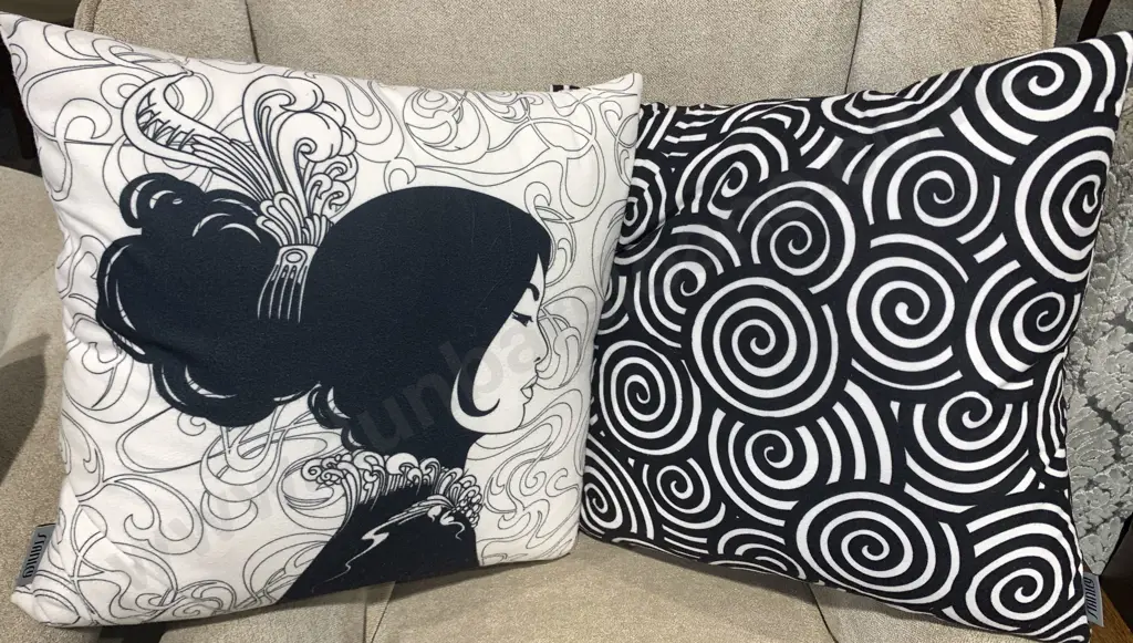 Two Designer Cushions Image 1++