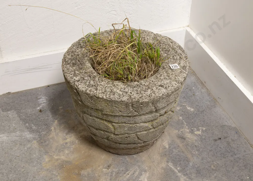 Composition Garden Pot Image 1++