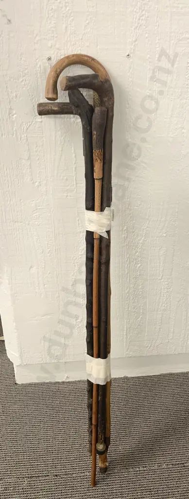 Six Various Walking Sticks Image 1++