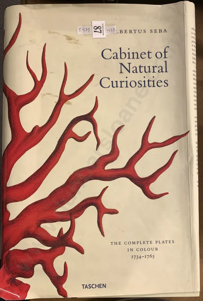 Taschen 'Cabinet of Natural Curiosities' Image 1++