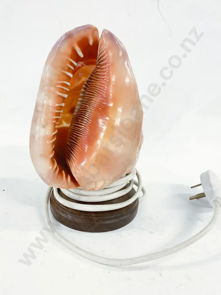 Cameo Table Lamp Image 1++