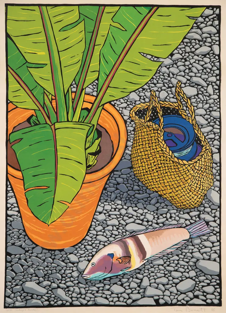 Tom Burnett - Sandager's Parrotfish Image 1++