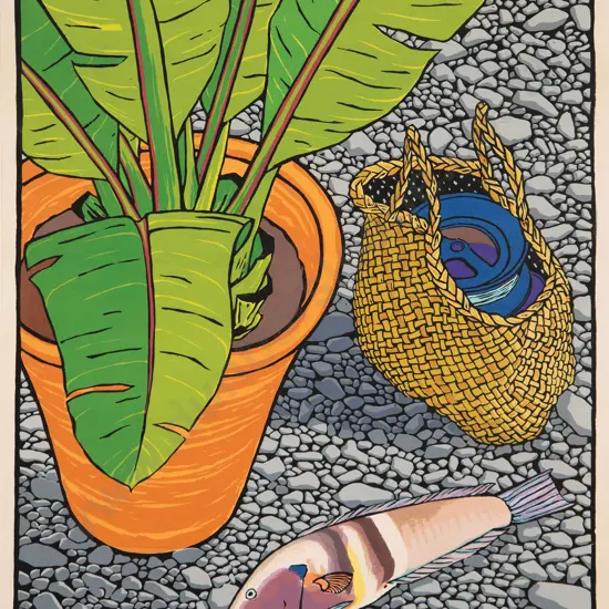 Tom Burnett - Sandager's Parrotfish