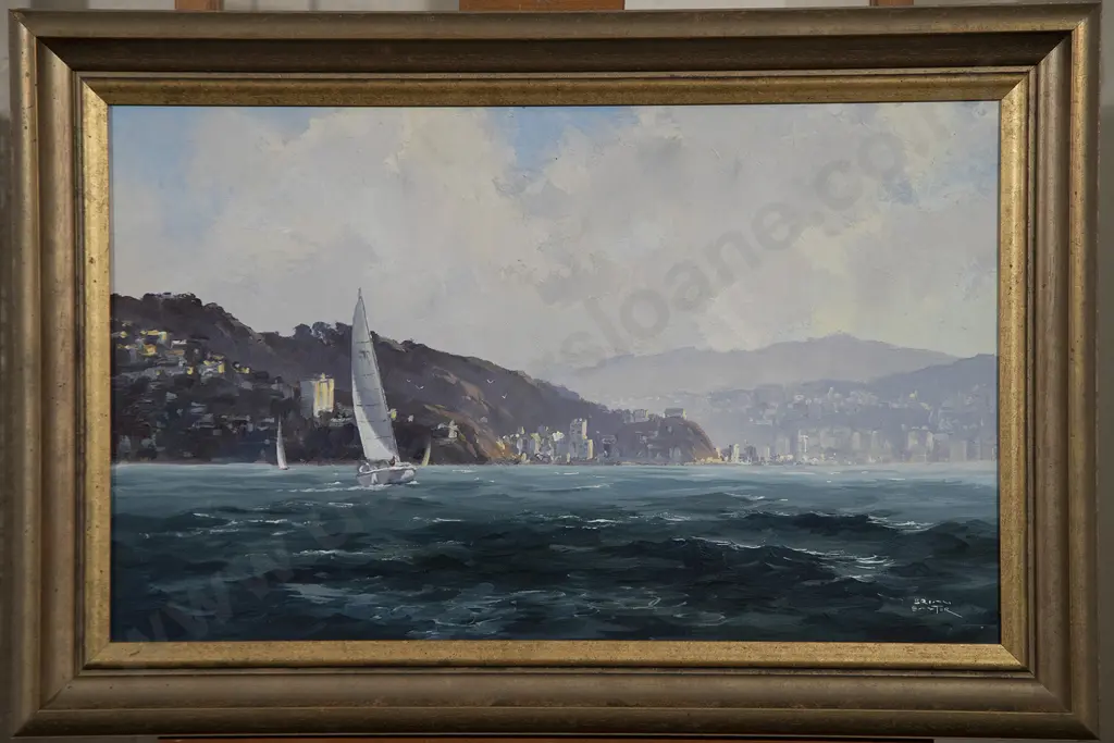 Brian Baxter - Yachting on Wellington Harbour Image 1++