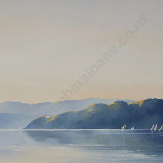 Phillip Markham - Yachts on Wellington Harbour