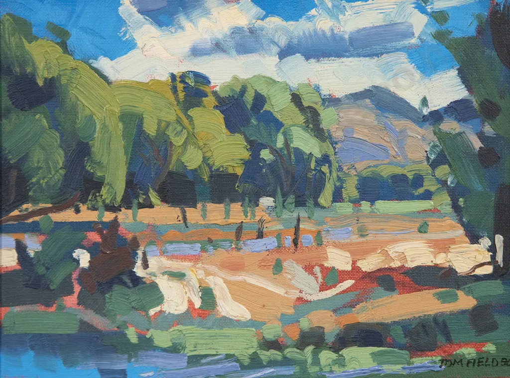 Tom Field - Summer in the Valley Lauder Central Otago Image 1++