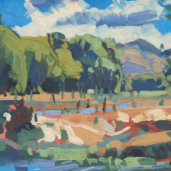 Tom Field - Summer in the Valley Lauder Central Otago