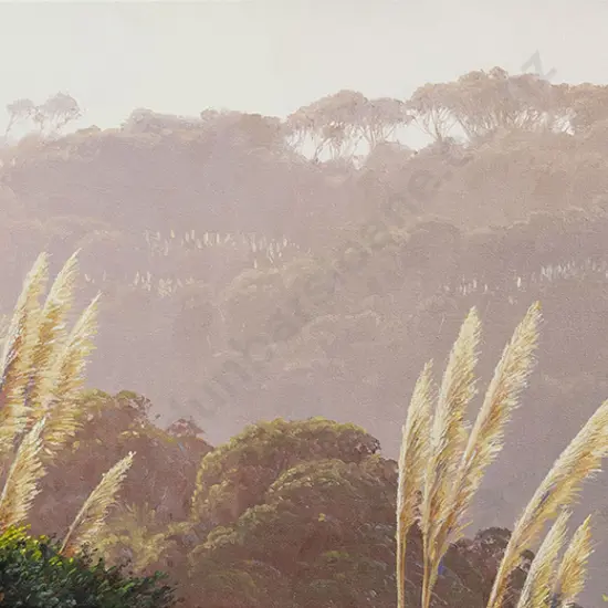Ian Hamlin - Facing the Wind Waitakeres IV