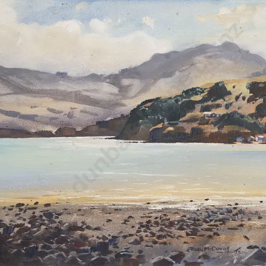 Rob McDowell - Robinson's Bay