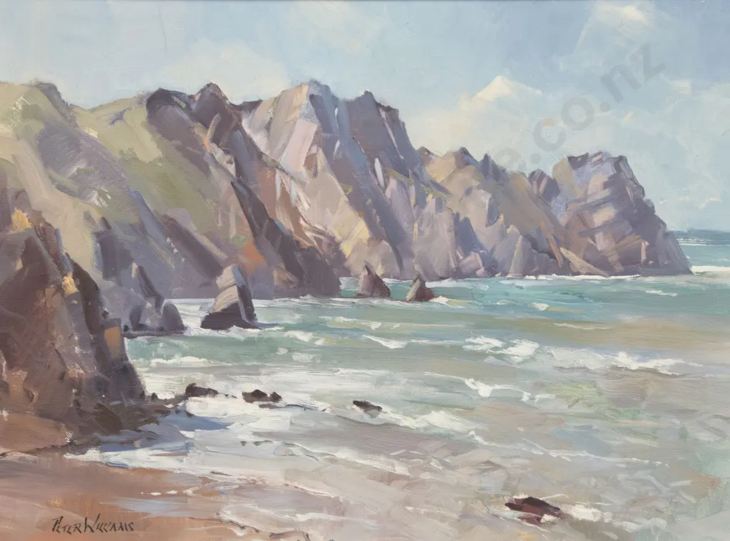 Peter Williams - Sponge Bay Gisborne Image 1++