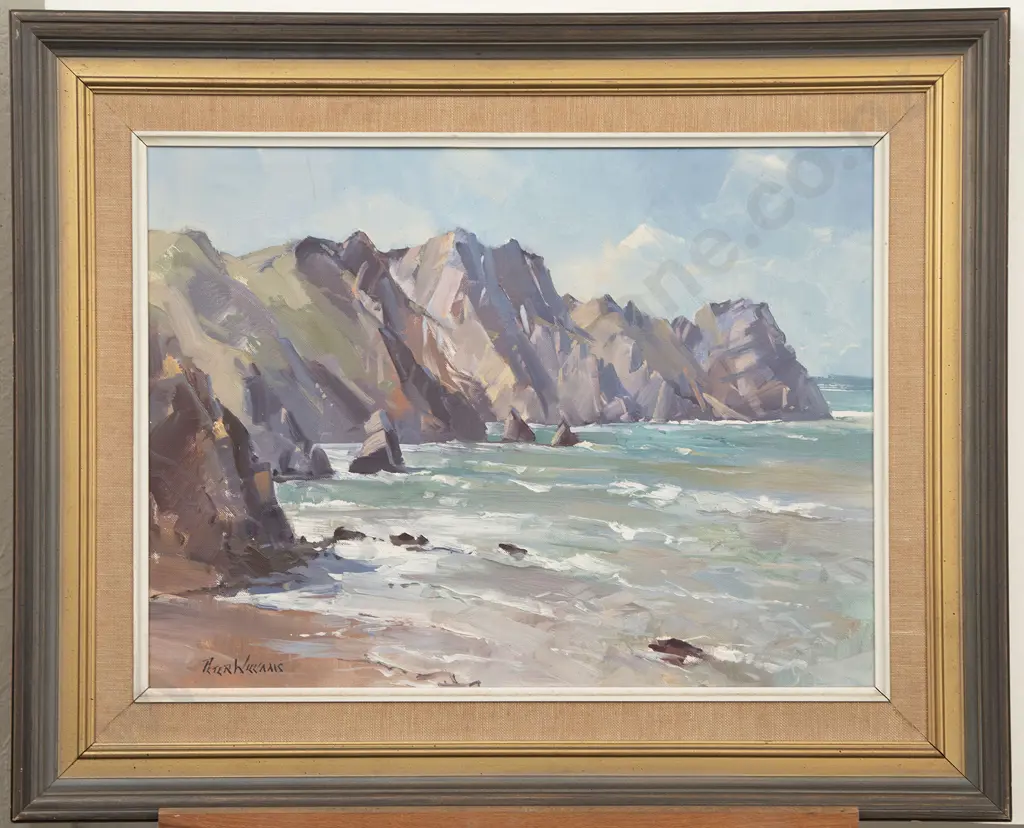 Peter Williams - Sponge Bay Gisborne Image 1++