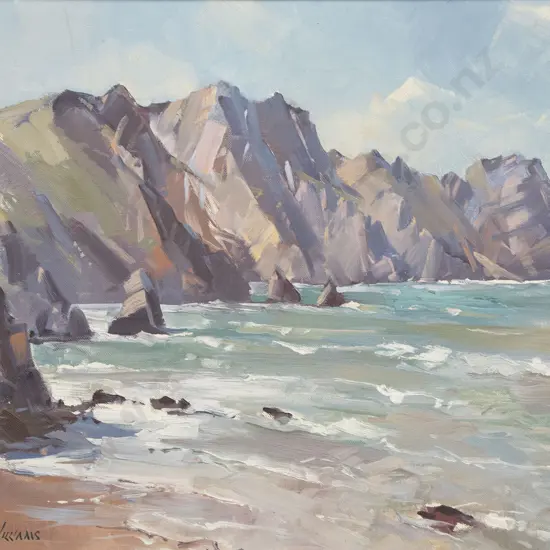 Peter Williams - Sponge Bay Gisborne