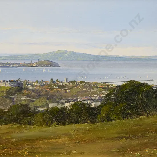 Peter Wallers - Overlooking Auckland from Mt Eden