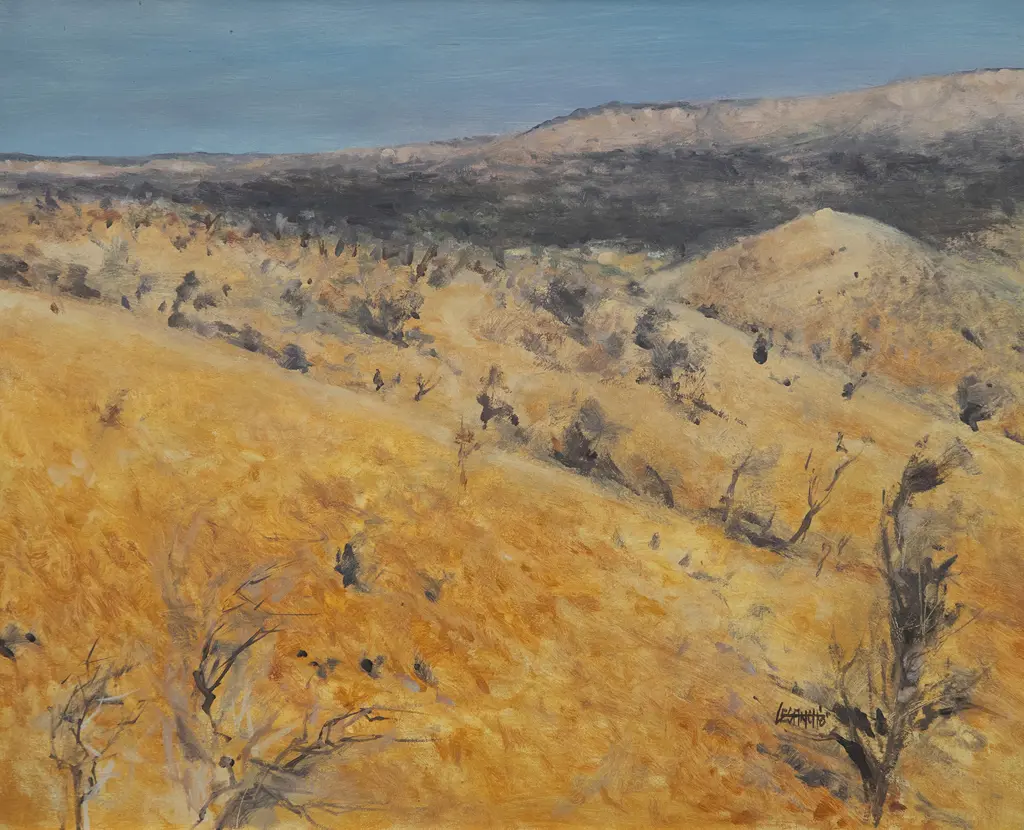 Les Finch - Near Standley Chasm Image 1++