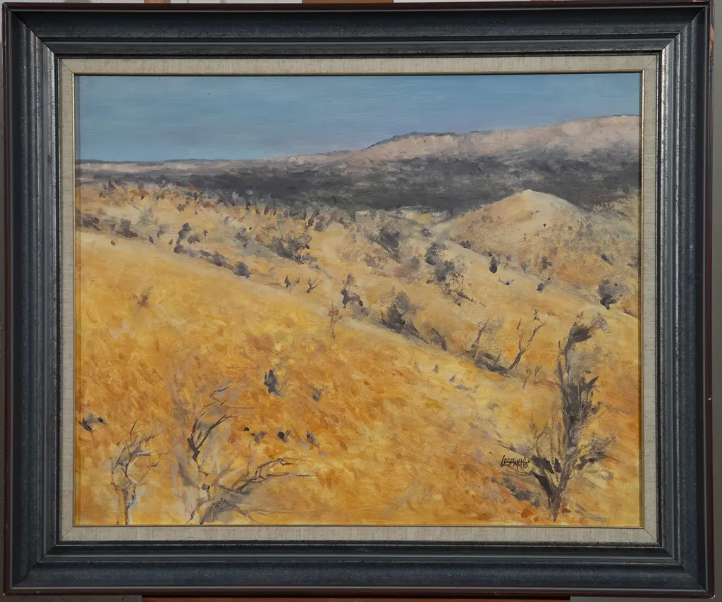 Les Finch - Near Standley Chasm Image 1++