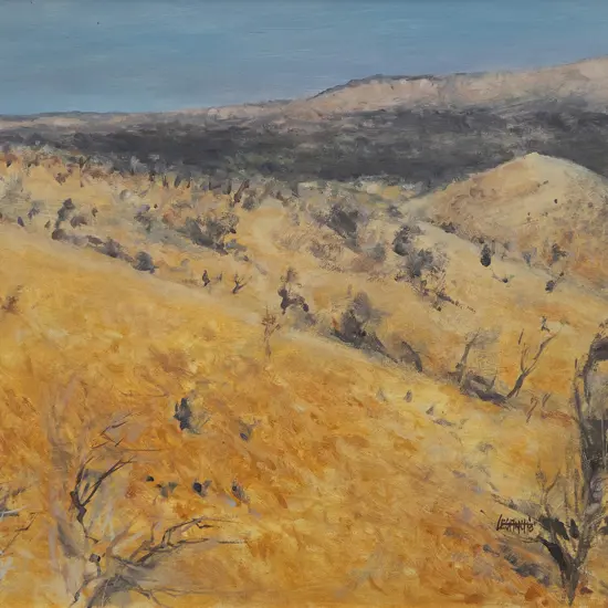 Les Finch - Near Standley Chasm