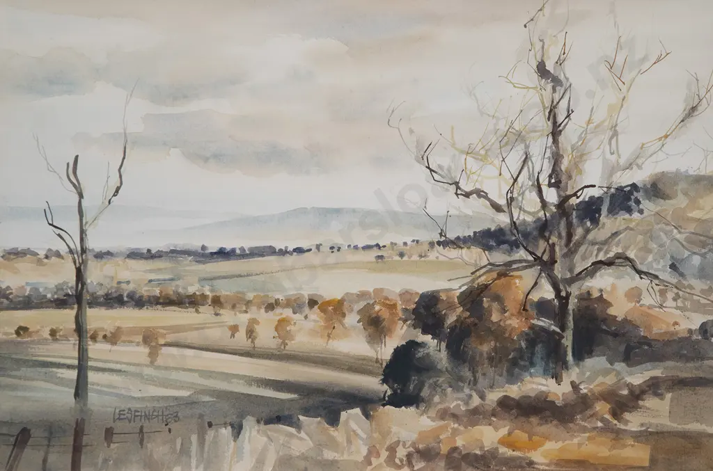 Les Finch - Evening near Albury Image 1++