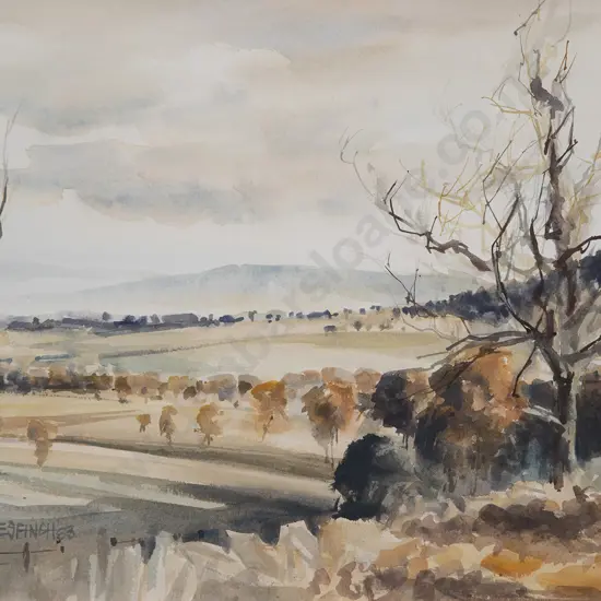 Les Finch - Evening near Albury