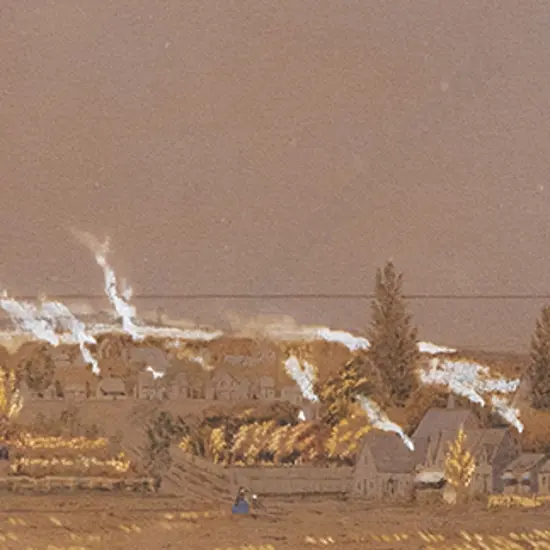 D Gibbs - Panoramic Study of Nelson