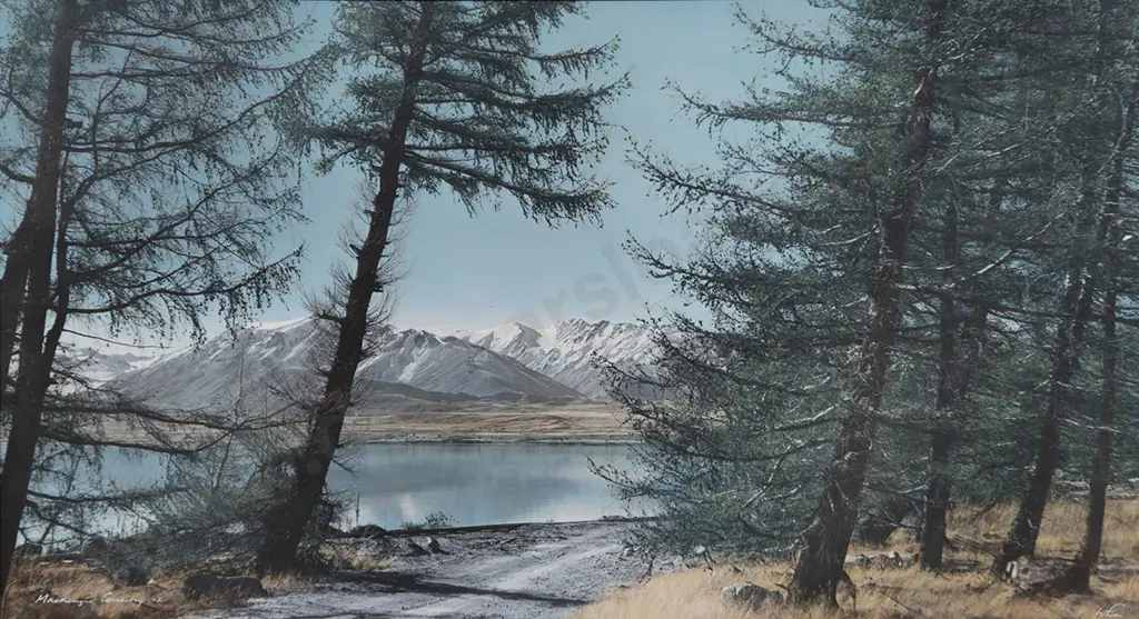 Whites Aviation - Mckenzie Country Image 1++