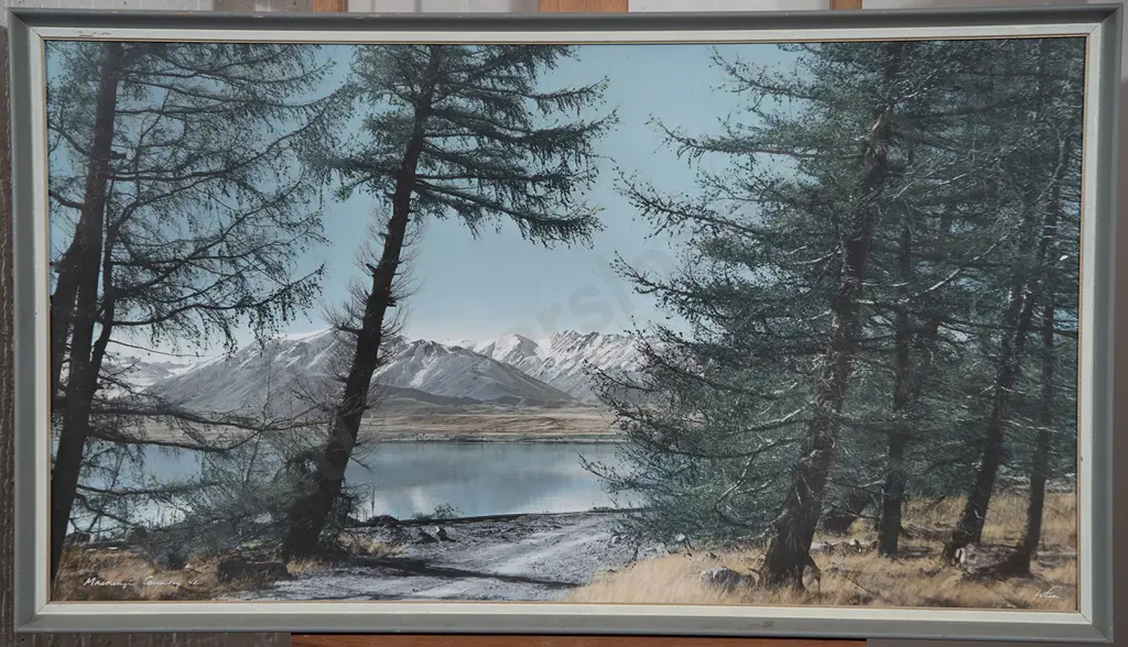 Whites Aviation - Mckenzie Country Image 1++