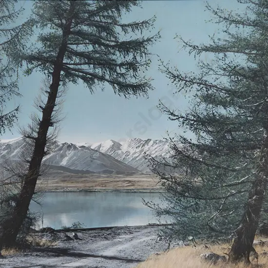 Whites Aviation - Mckenzie Country