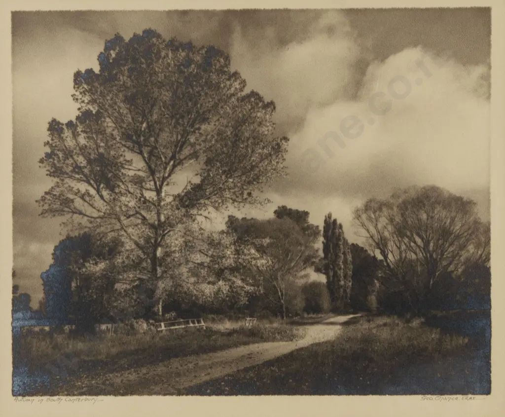George Chance - Autumn in South Canterbury Image 1++