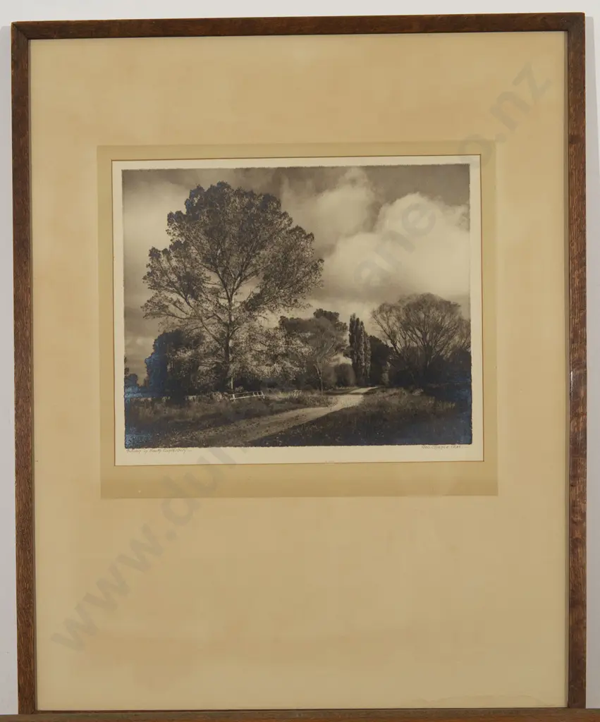 George Chance - Autumn in South Canterbury Image 1++