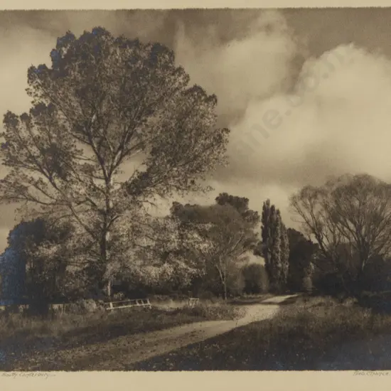 George Chance - Autumn in South Canterbury
