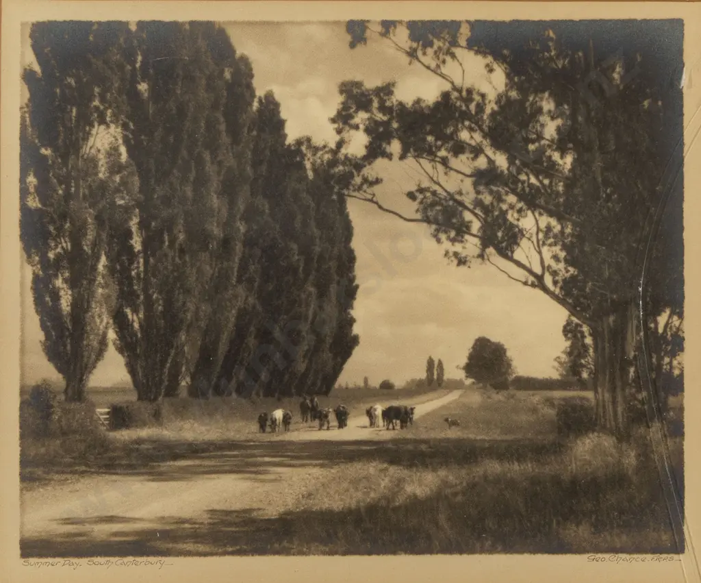 George Chance - Summer Day in South Canterbury Image 1++