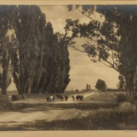 George Chance - Summer Day in South Canterbury