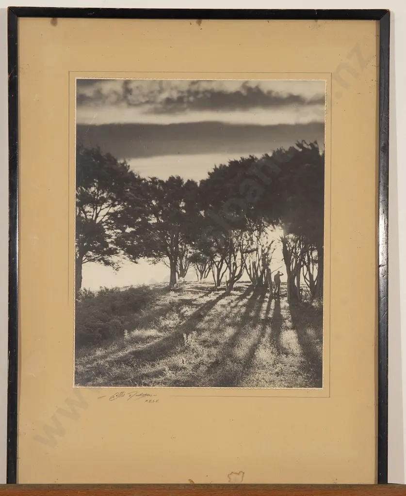 Three Vintage NZ Photographs Image 1++