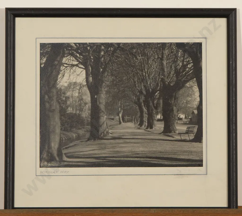 Three Vintage NZ Photographs Image 1++