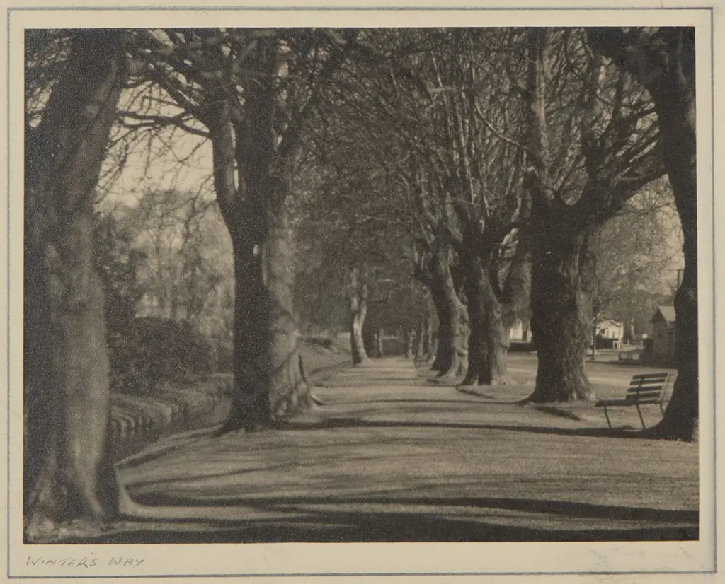 Three Vintage NZ Photographs Image 1++