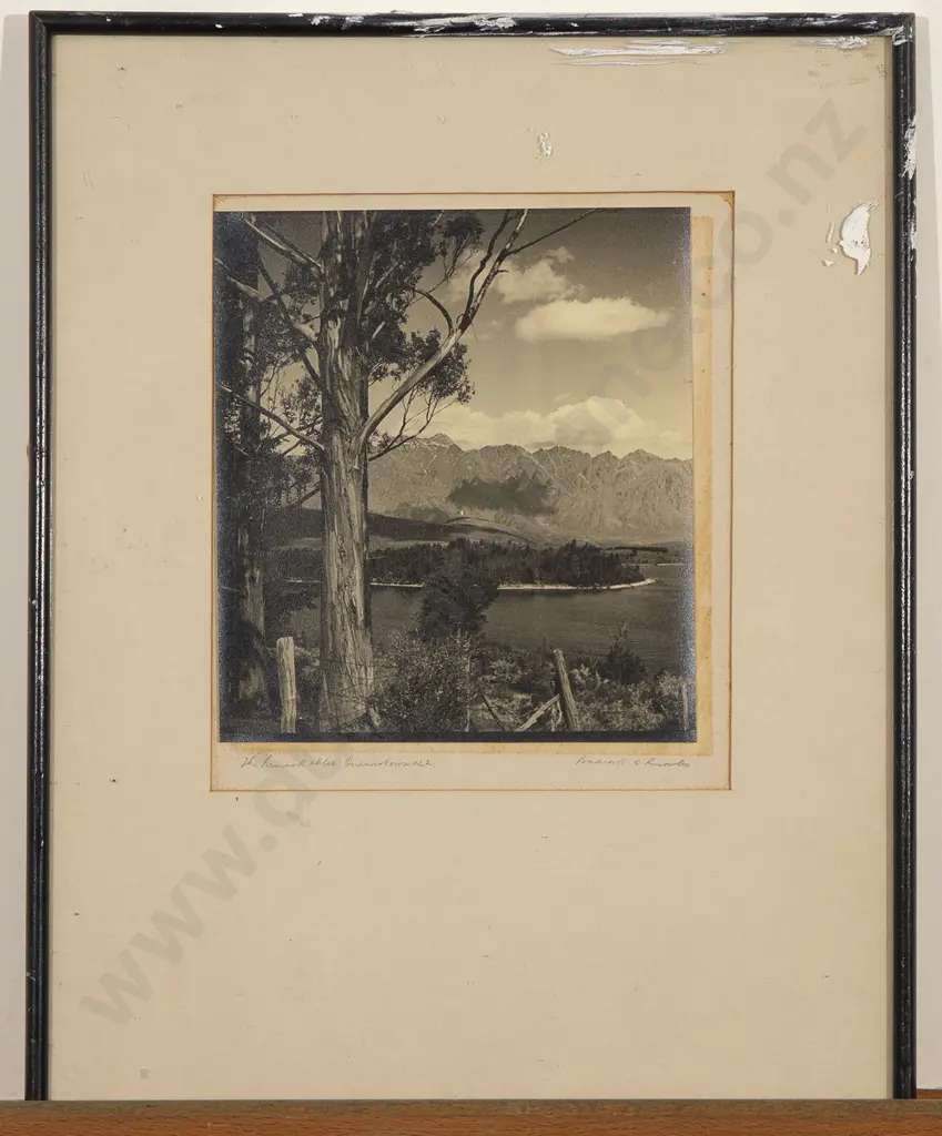 Three Vintage NZ Photographs Image 1++